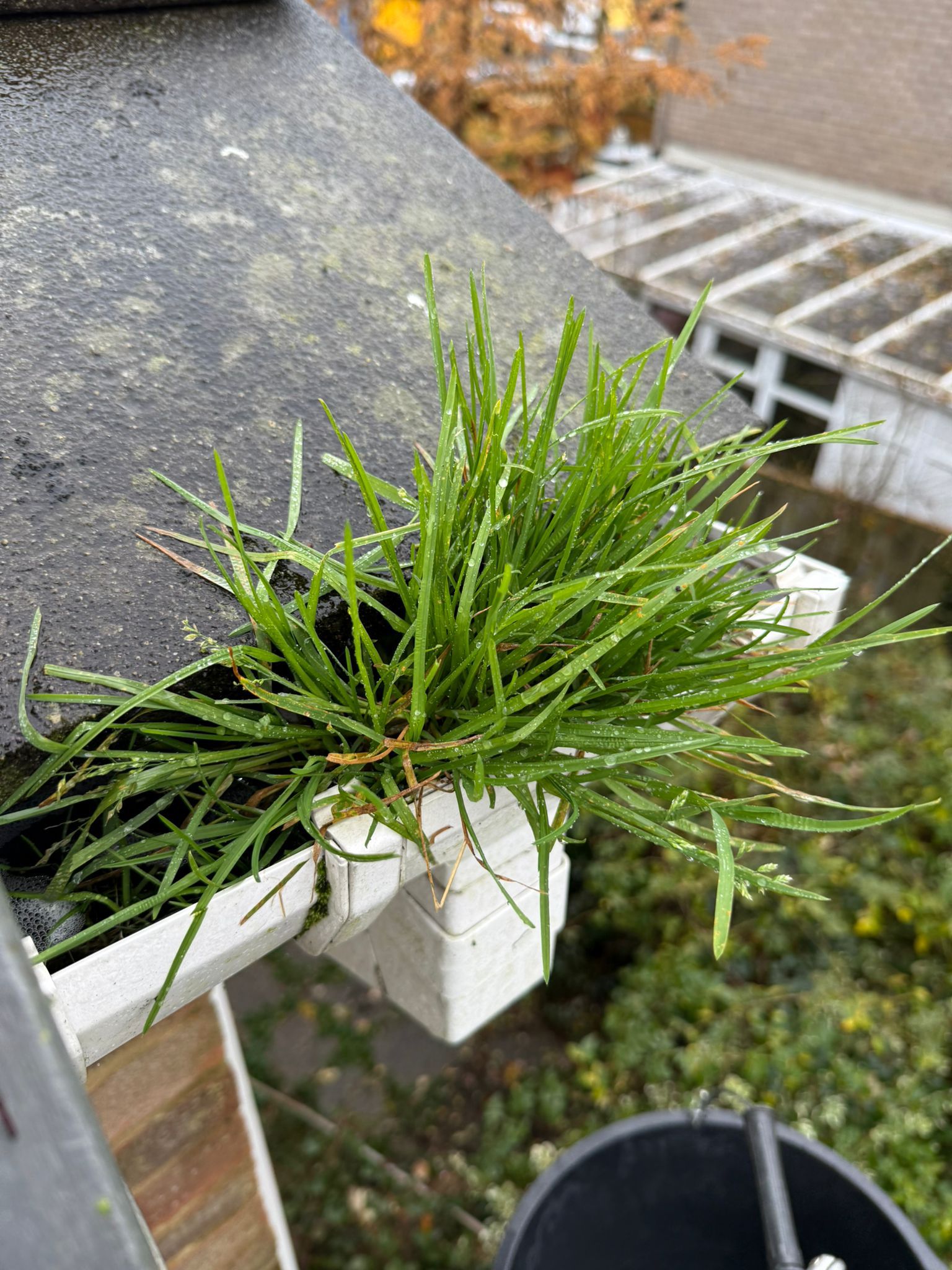 Blocked gutter downpipe in Ickenham